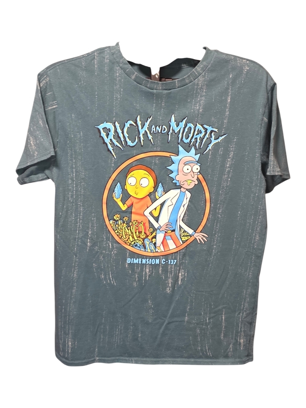 Rick and Morty Short Sleeve Graphic Tee - Slate Green